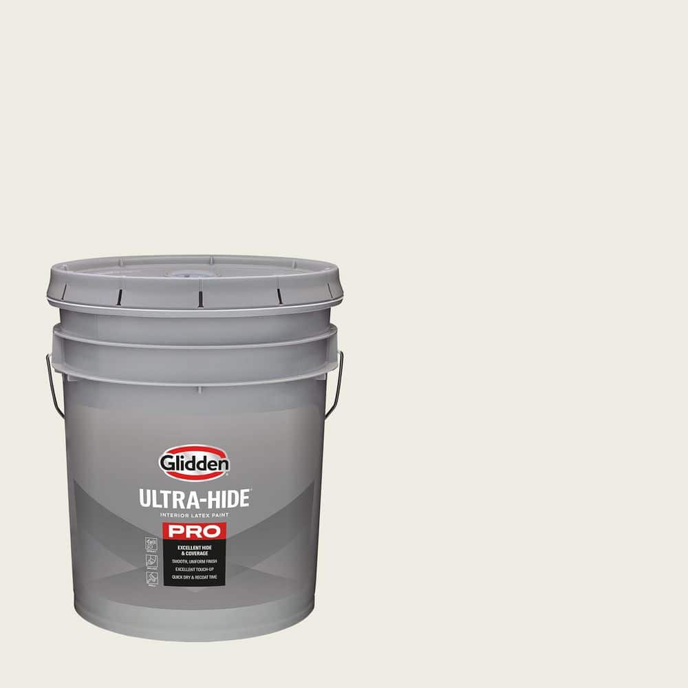 1 gal. PPG1006-1 Gypsum Eggshell Interior Paint price history on PriceWatchPro