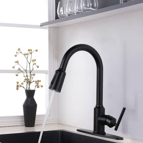 WOWOW Single-Handle Pull-Down Stainless Steel Sprayer Kitchen