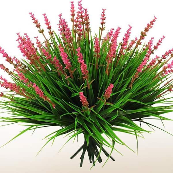 Monkey Grass Home Depot