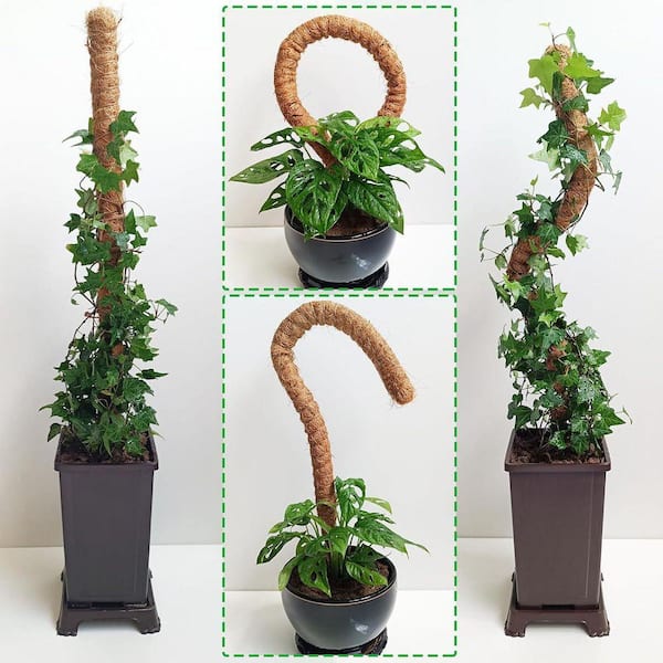 2 Pack 25 in. Moss Pole, Bendable Moss Pole for Plants Monstera