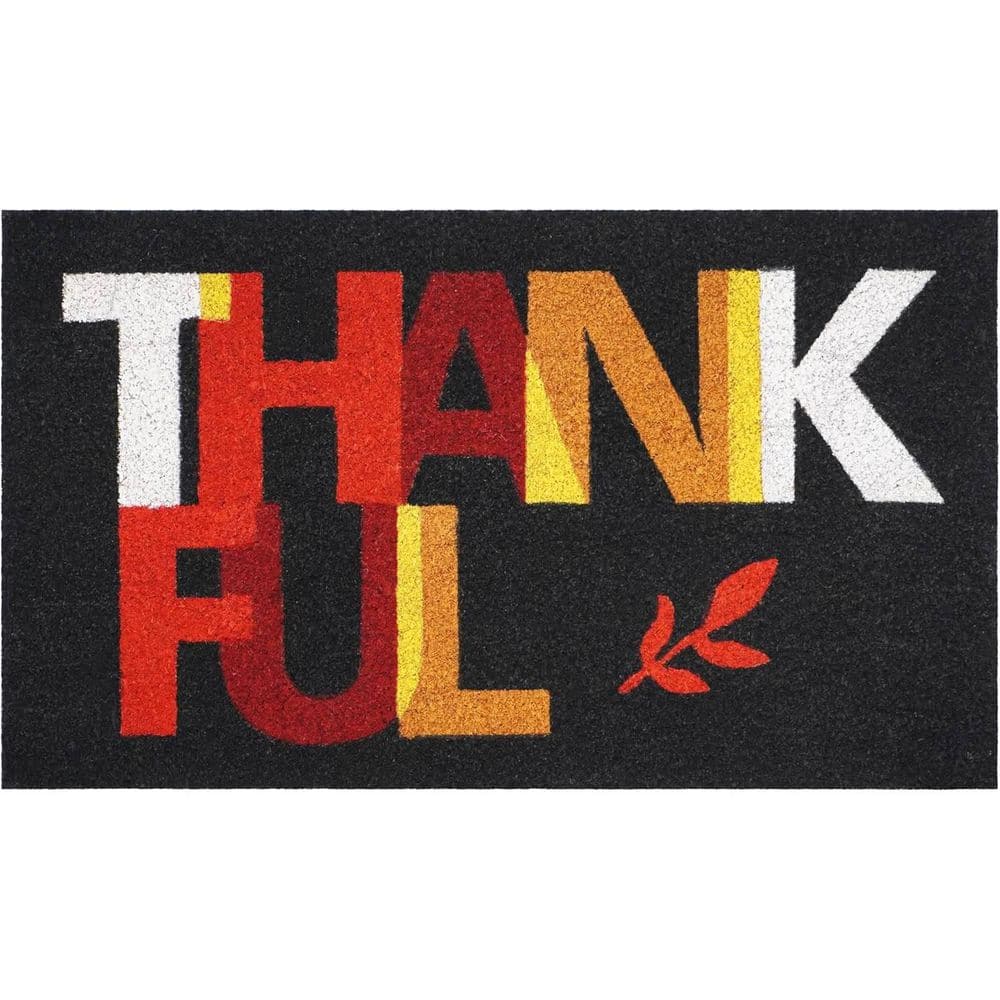 Multi-Colored 29 in. x 17 in. Coir Outdoor Door Mat price history on PriceWatchPro