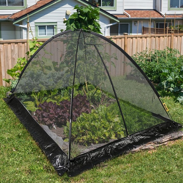  Happybuy Pond Cover Dome, 8x10 FT Garden Pond Net, 1/2 inch  Mesh Dome Pond Net Covers with Zipper and Wind Rope, Black Nylon Pond  Netting for Pond Pool and Garden 