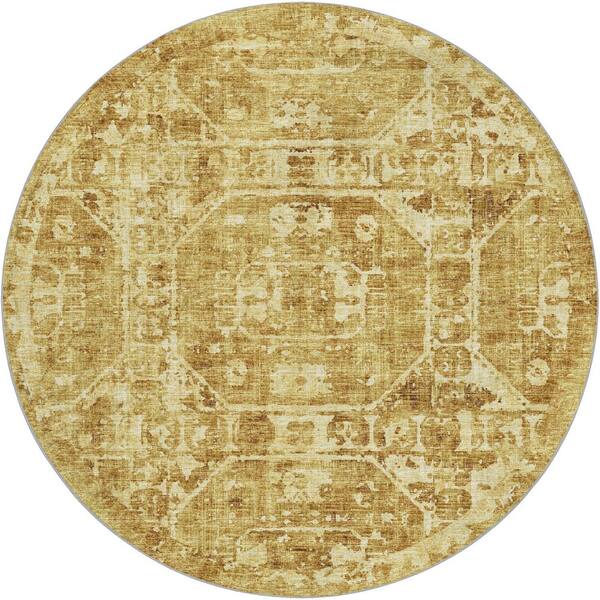 Dream Shag Premium Machine Washable Abstract ADS41 Gilded 8 ft. x 8 ft. Round Rug