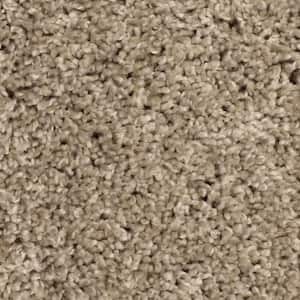Pioneer - Desert Travels - Brown 73.5 oz. SD Polyester Texture Installed Carpet