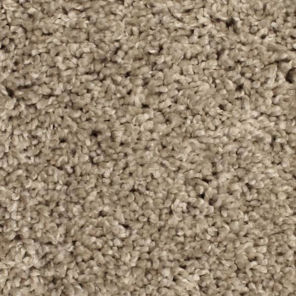 Home Decorators Collection Pioneer - Desert Travels - Brown 73.5 oz. SD Polyester Texture Installed Carpet