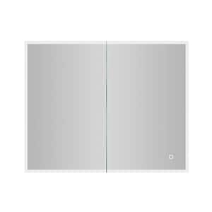 29.92 x 24.01 in. Double Door Recessed/Surface Mount Medicine Cabinet with Mirror in Silver