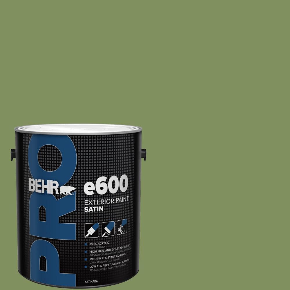 1 gal. #PPU10-03 Green Energy Satin Exterior Paint price history on PriceWatchPro