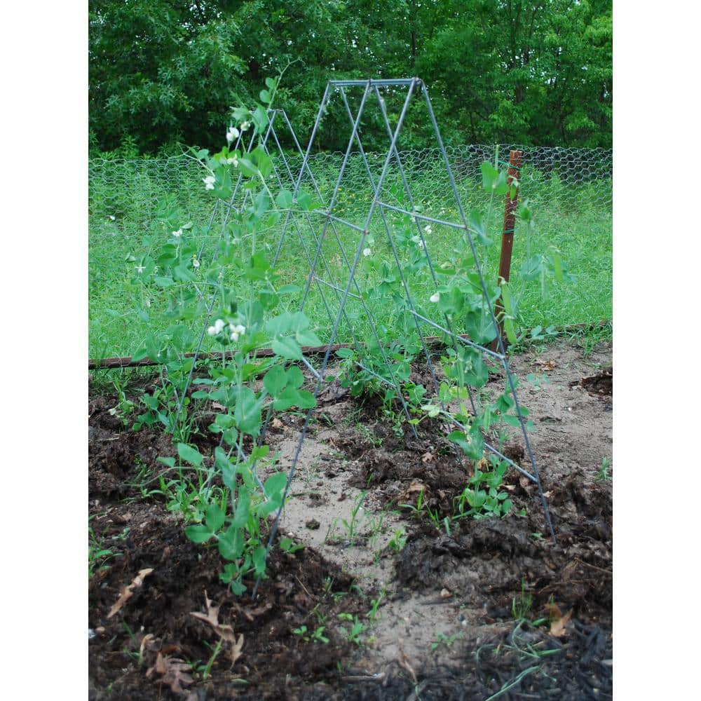 42" Silver Heavy Duty Steel A-Frame Plant Support Cage (5-Pack)