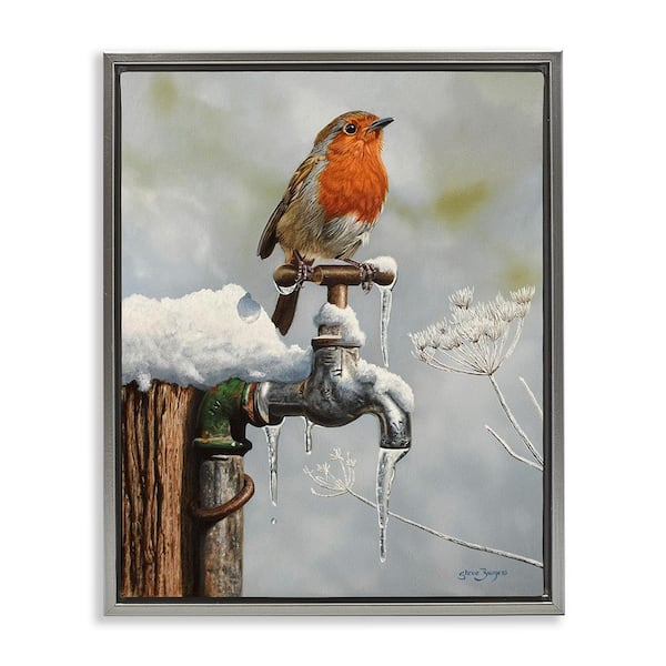 Stupell Industries Robin Bird and Winter Scene by Steve Burgess 1 Piece Floater Frame Graphic Print Animal Poster Art Print 31 in. x 25 in.
