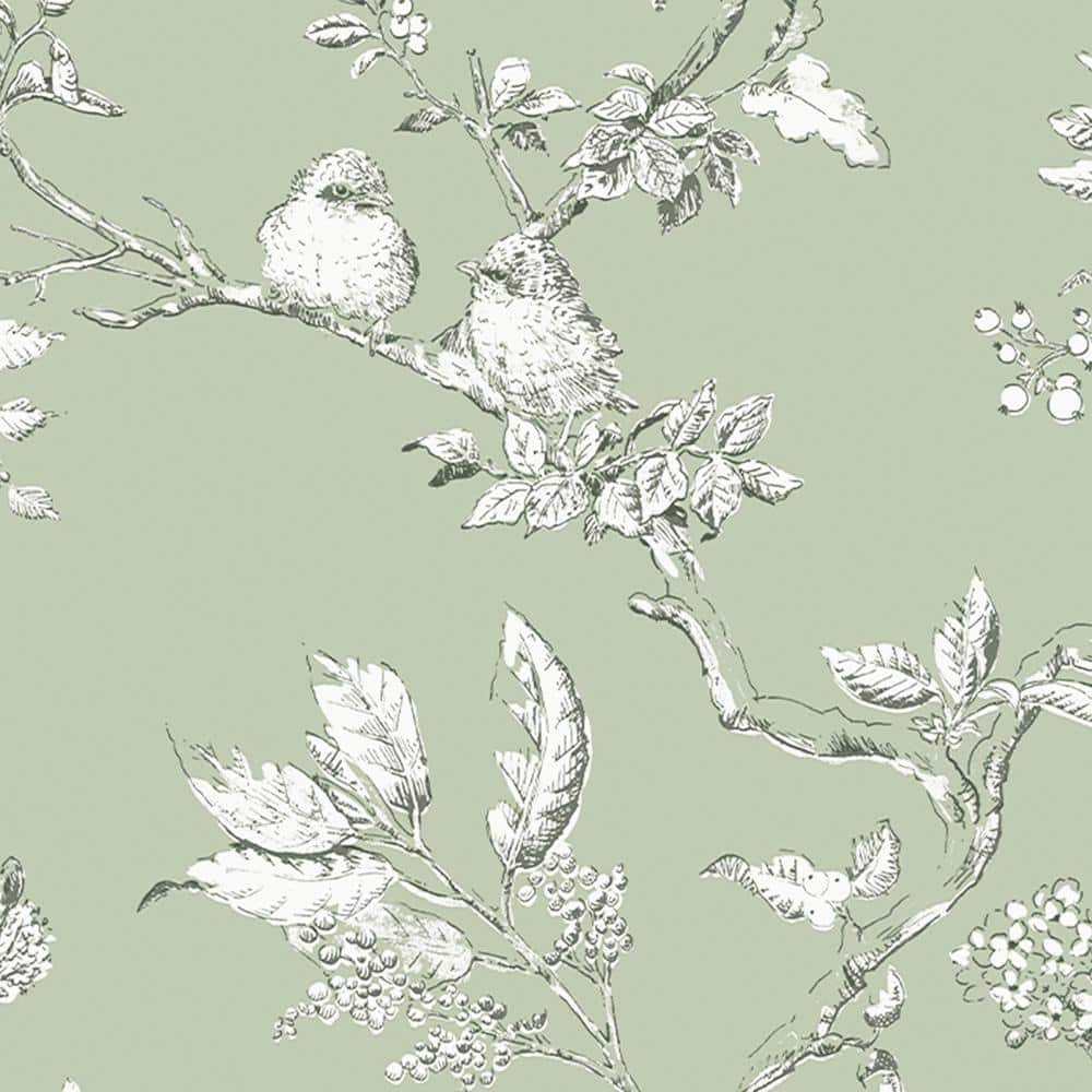 Laura Ashley Elderwood Sage Floral Botanical Wallpaper