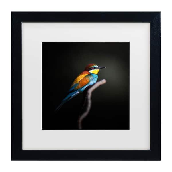 Trademark Fine Art Fegari Colorful Darkly Matted Framed Photography Wall Art 18 in. x 18 in.