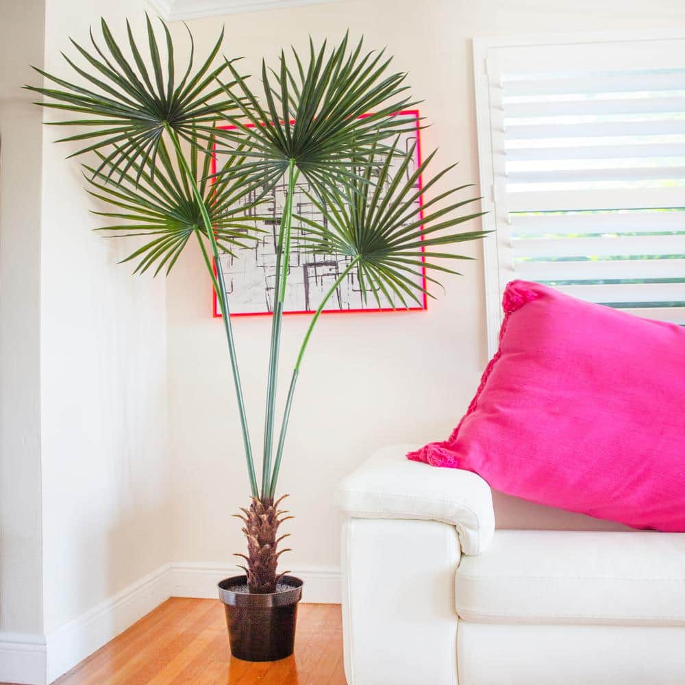Tropical Majesty 7ft UV Resistant Silk Fan Palm Tree in Decorative Pot