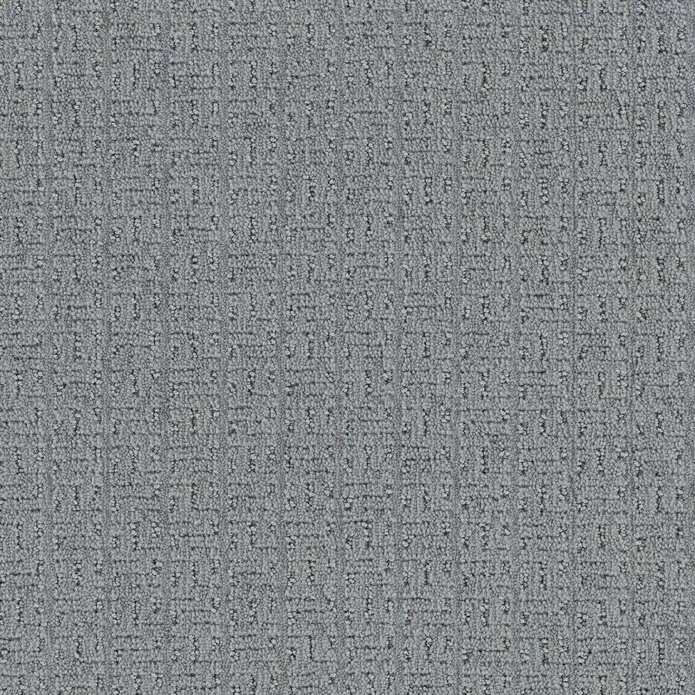 8 in. x 8 in. Loop Carpet Sample - Earthy Editions - Color Cloud price history on PriceWatchPro