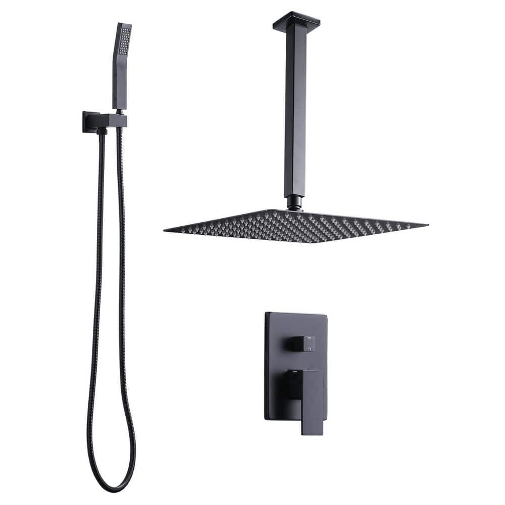 1-Spray 12 in. Dual Shower Head and Handheld Shower Head Ceiling Mount Rain Shower with 1.8-GPM in Matte Black price history on PriceWatchPro