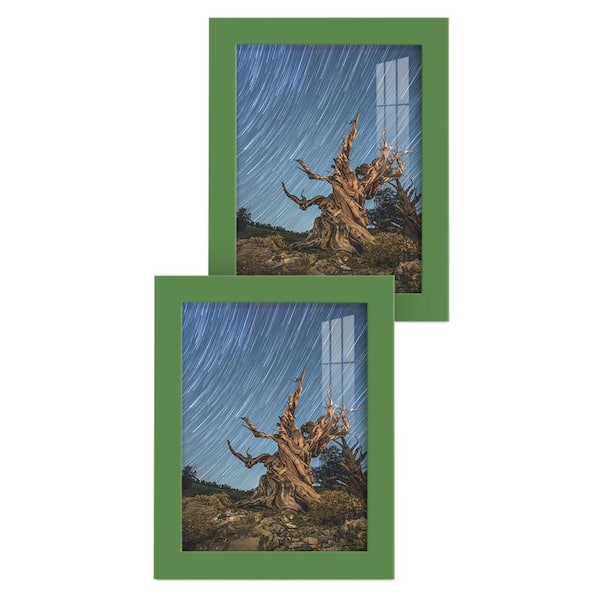 Wexford Home Modern 6 in. x 8 in. Green Picture Frame (Set of 2)