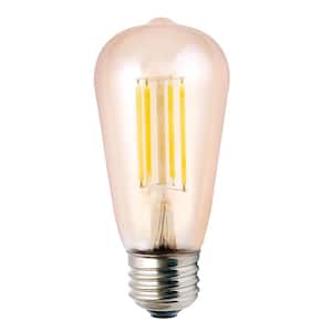 40-Watt Equivalent 5-Watt ST19 Dimmable LED Amber Filament Antique Vintage Edison Light Bulb 2000K 85044