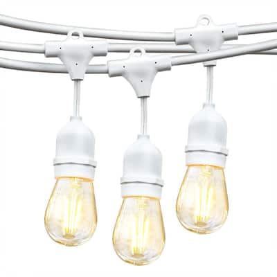 Govee Lynx Dream 48 ft. Outdoor Plug-In LED Input Smart Edison Bulb Wi-Fi  Enabled String Light (15-Bulbs) H7028AB1 - The Home Depot