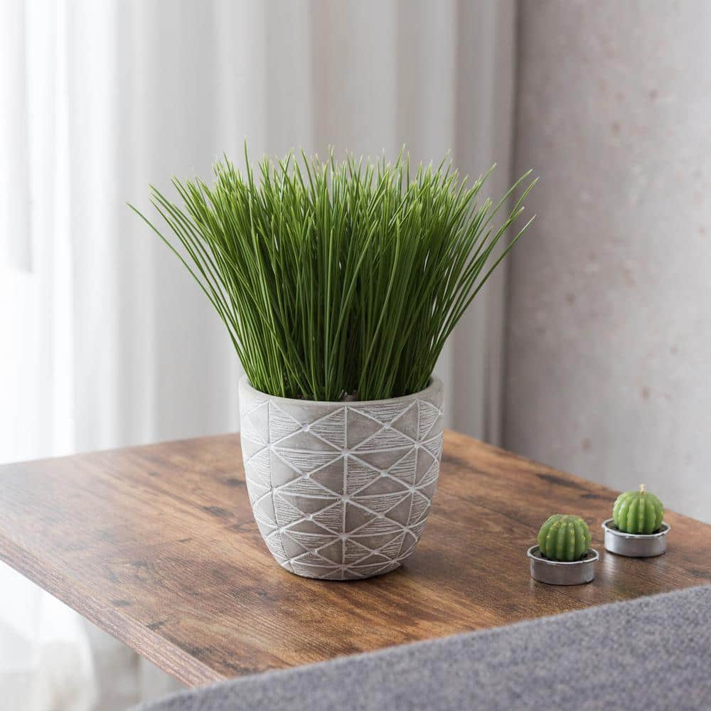 Indoor Tabletop Artificial Grass in Geo Cement Pot
