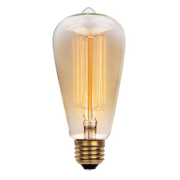 Westinghouse 60-Watt ST20 E26 Timeless Vintage Edison Incandescent Light Bulb 2200K (1-Bulb)