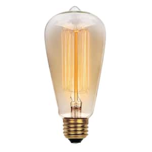 60-Watt ST20 E26 Timeless Vintage Edison Incandescent Light Bulb 2200K (1-Bulb)