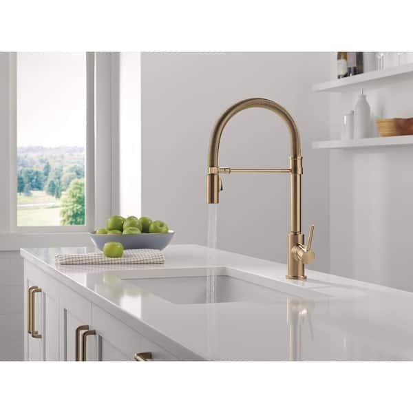 バンドーレン SP3 ＆ BG トラディション 金メッキ(GP) セット Delta Trinsic Spring Spout Gold Champagne Bronze 19.63 in. H Pull
