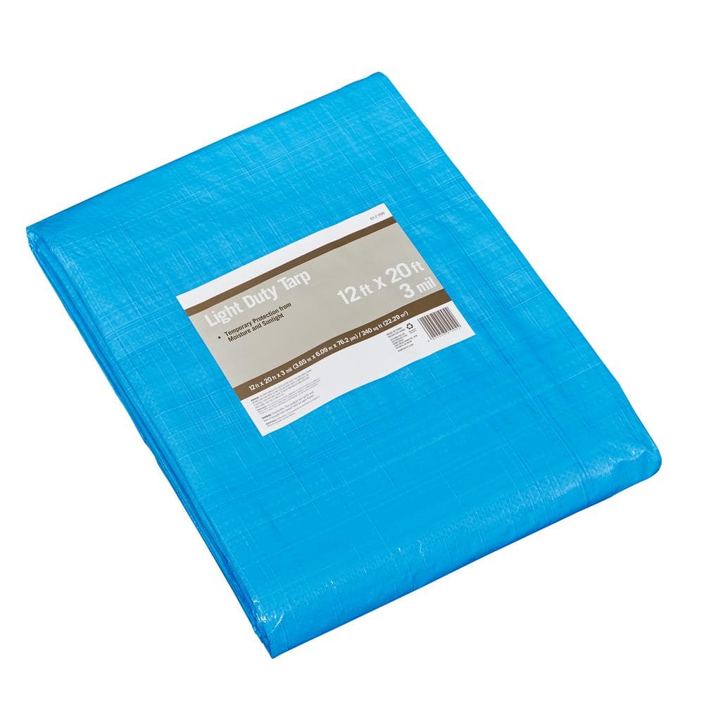 PRIVATE BRAND UNBRANDED Light Duty 3mil Thickness 12 ft. W x 20 ft