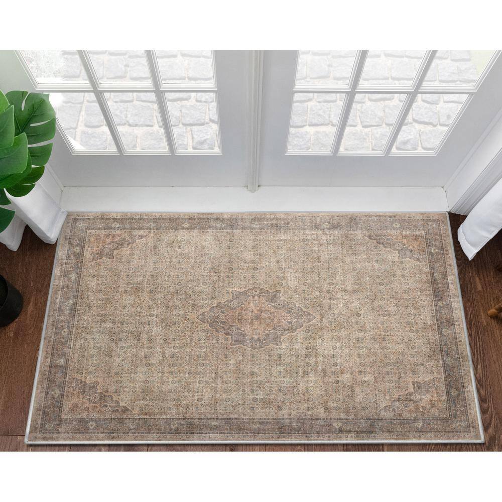 Asha Lilith Vintage Beige Brown Chenille Oriental 3' x 5' Area Rug