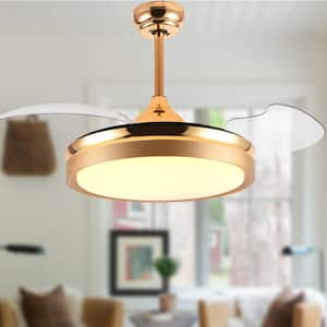 36 in. Indoor Gold Retractable Ceiling Fan with LED Light and Remote, 6-Speed Reversible Ceiling Fans