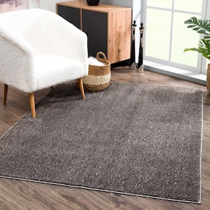 Judy 7 ft. X 9 ft. Dark Gray Solid Shag Rubber Backing Soft Machine Washable Area Rug