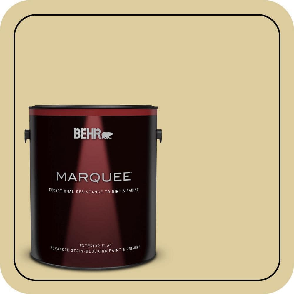 1 gal. #PPU8-11 Mojito Flat Exterior Paint & Primer price history on PriceWatchPro