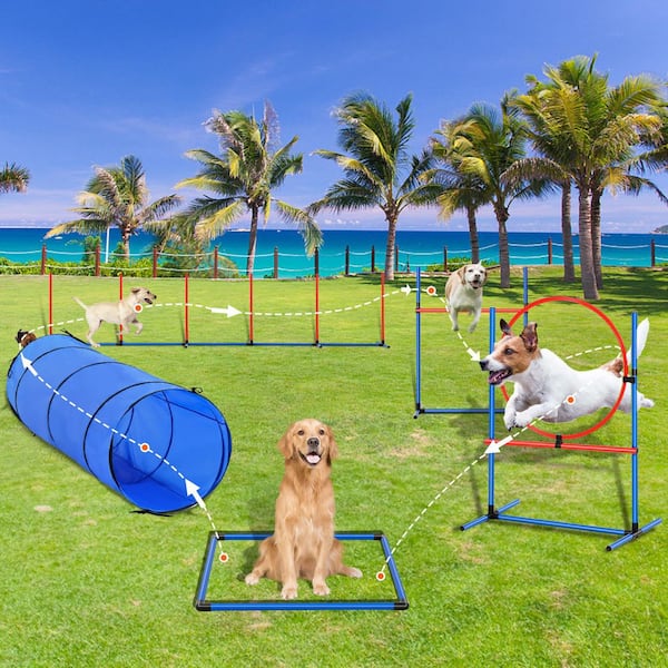 SKYSHALO Dog Agility Training Equipment, 5 PCS Set, Adjustable