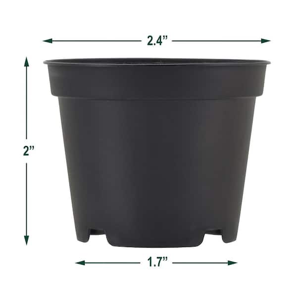 Arcadia Garden Products 2 in. Black Plastic Standard Grow Pot (250