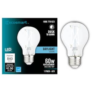 60-Watt Equivalent A19 CEC Dimmable Dusk to Dawn Clear Glass Filament LED Light Bulb Daylight (1-Pack)