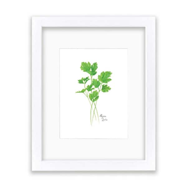 Unbranded Nature's Lace 2 "Parsley" by Alyssa Lewis Individual White Framed with Mat Nature Art Print 14 in. x 11 in.