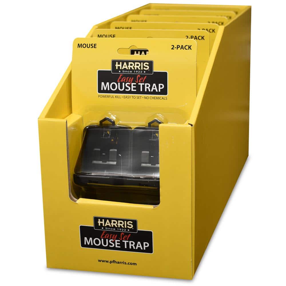 24 Pcs Mouse Traps Plastic Mice Trap House Indoor Rat Trap Quick Effective  Safe