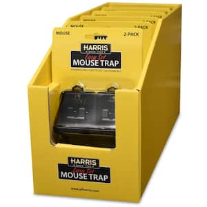Reusable Plastic Mouse Trap (24-Pack)
