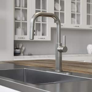 Montay Single-Handle Pull Down Sprayer Kitchen Faucet in Stainless Steel