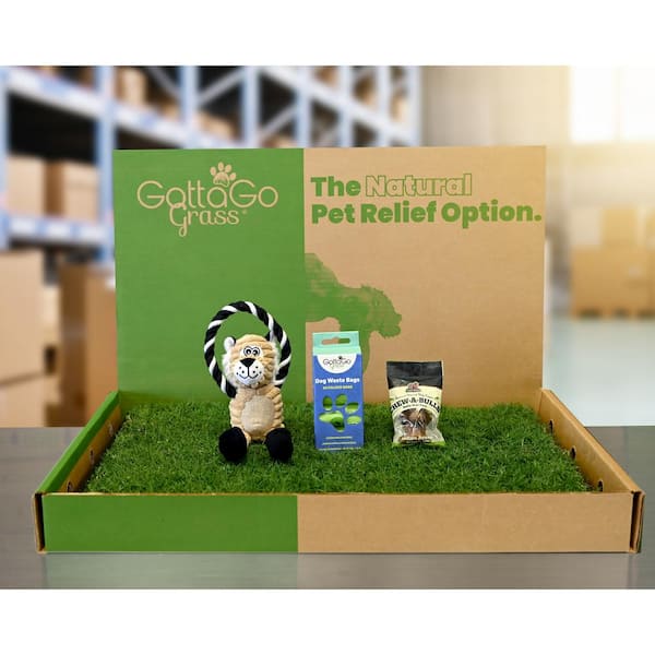 Unbranded Gotta Go Grass Potty Pad with Tray + Treat + Waste Bags + Squeaky Toy