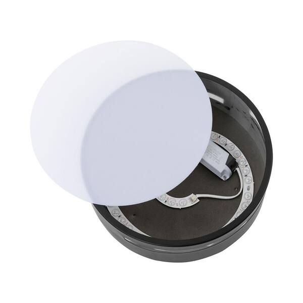 Shannon 1-Light Wall Sconce in Matte Black