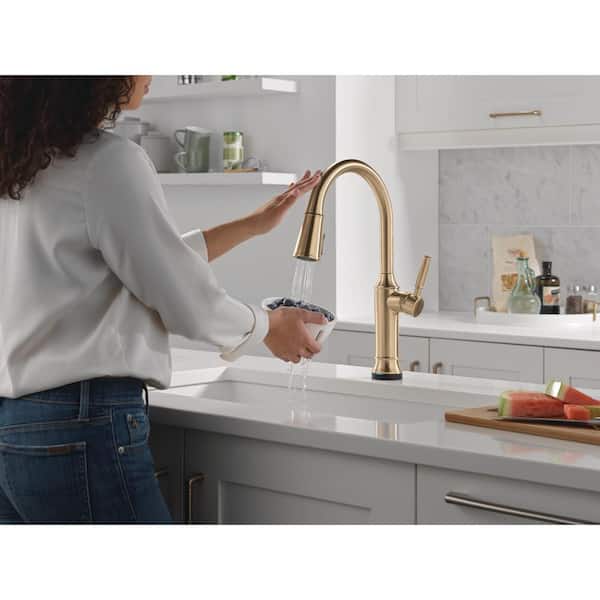 Delta Renaldi Gold Touch2O w/ Touchless Technology Single Handle