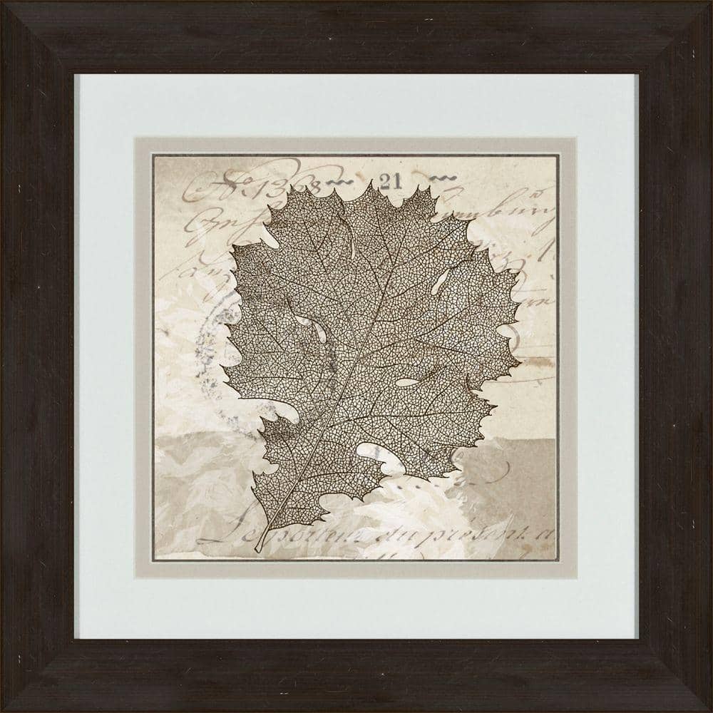 17 in. x 17 in. Sophisticated Botany C Framed Wall Art