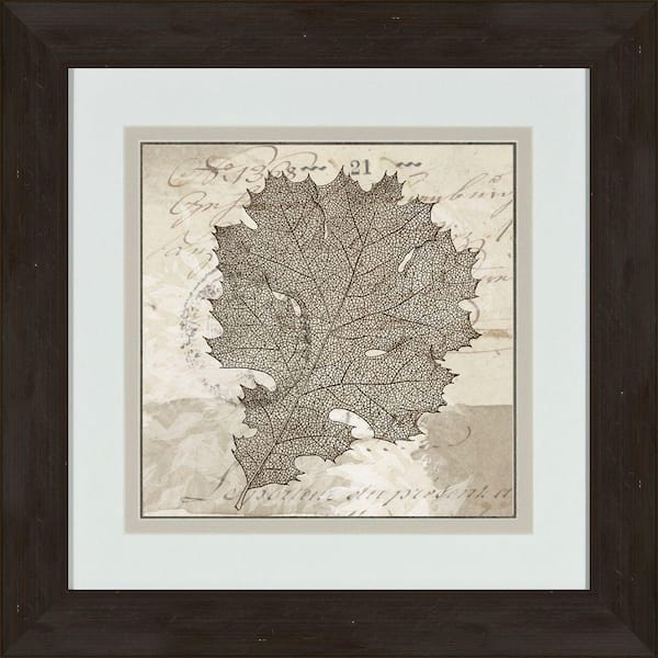 Unbranded 17 in. x 17 in. "Sophisticated Botany C" Framed Wall Art