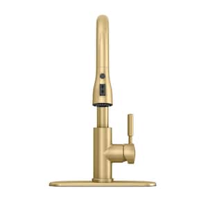 Garrick Single-Handle Pull-Down Sprayer Kitchen Faucet in Matte Gold (2-Pack)