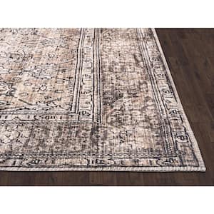 Paloma Brown 6 ft. x 9 ft. Oriental Polyester Area Rug