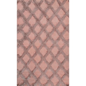 Francene Moroccan Trellis Shag Pink 4 ft. x 6 ft. Area Rug