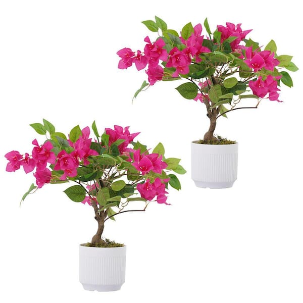 2-Pack 2 ft. Artificial Bougainvillea Trees with Flowers in White Pots  WK0618 - The Home Depot