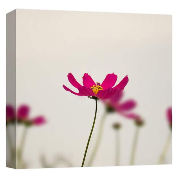 PTM Images Abstract Lily'' Canvas Abstract Wall Art 15 in. x 15 in.