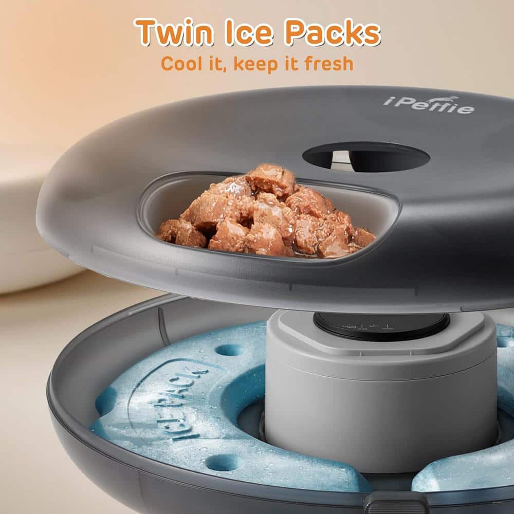 Black Cordless Automatic Pet Feeder with Ice Packs