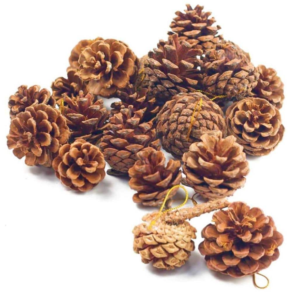 Cinnamon Scented Pinecones 1 lb for Decorating - 40 Pack Small Cinnamon Pinecones for Crafts and Vase Filler - Cinnamon Fragrance Pine Cones