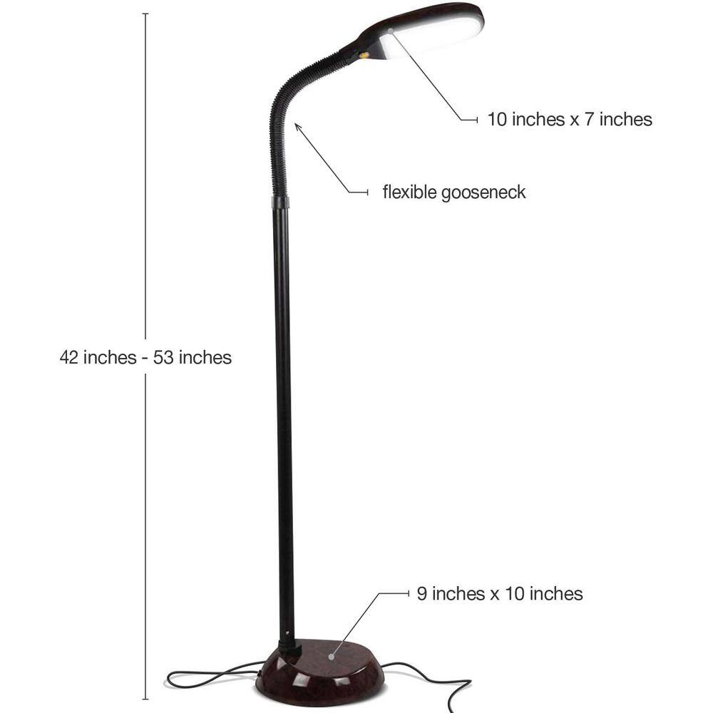 Havana Brown 53" Energy Star LED Floor Lamp with Adjustable Gooseneck
